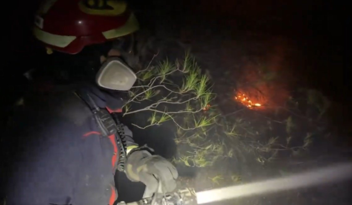 Incendio en área forestal próximo al auditorio Miguel Ríos: Los bomberos logran estabilizar las llamas