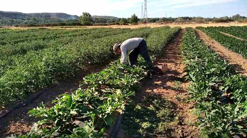 El Ayuntamiento de Rivas lanza dos programas para incentivar el emprendimiento y el empleo