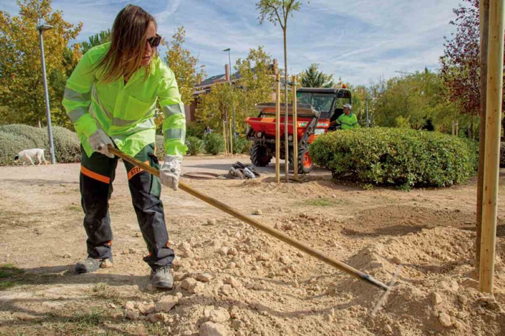 Rivas Vaciamadrid planta futuro: 409 árboles para calles, parques y colegios