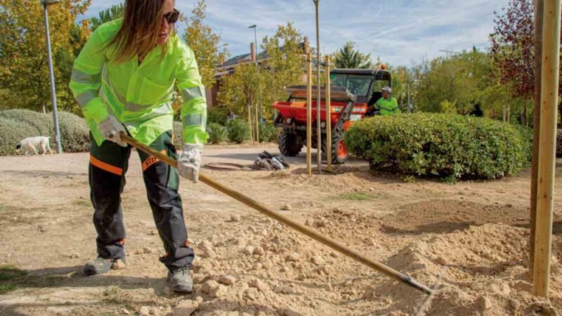 Rivas Vaciamadrid planta futuro: 409 árboles para calles, parques y colegios