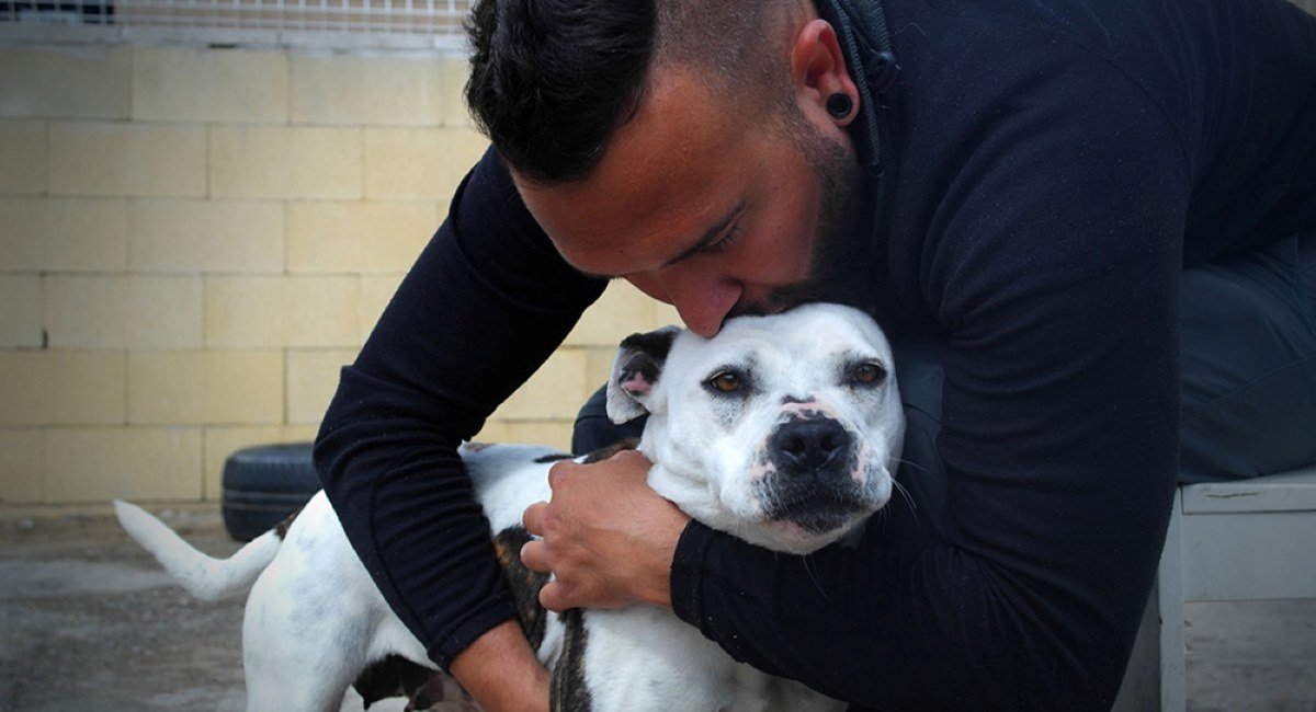 Jornada de Adopción Canina este domingo en el mercadillo de Rivas