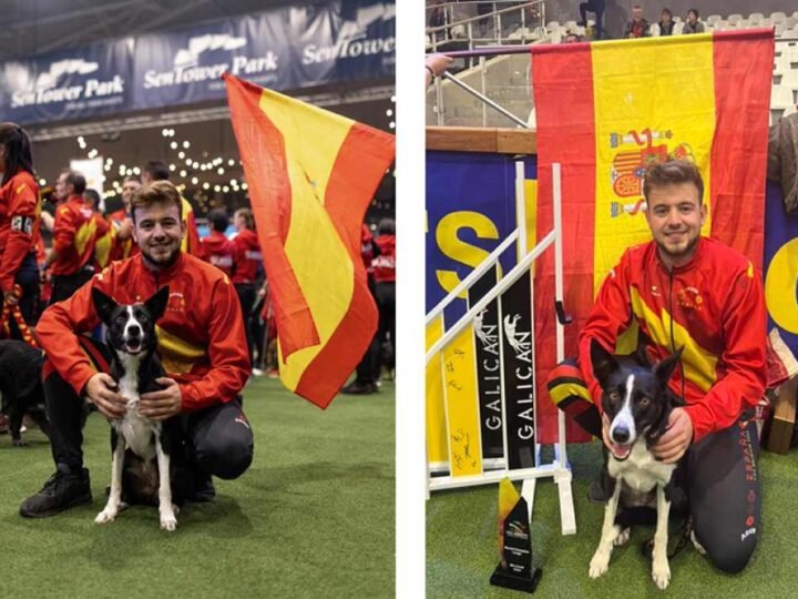 Rivas acoge el Campeonato Autonómico de Agility, el mayor evento regional de esta disciplina