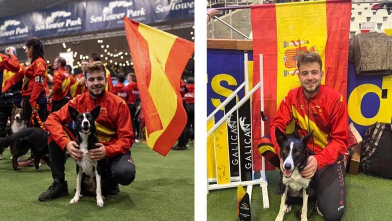 Rivas acoge el Campeonato Autonómico de Agility, el mayor evento regional de esta disciplina