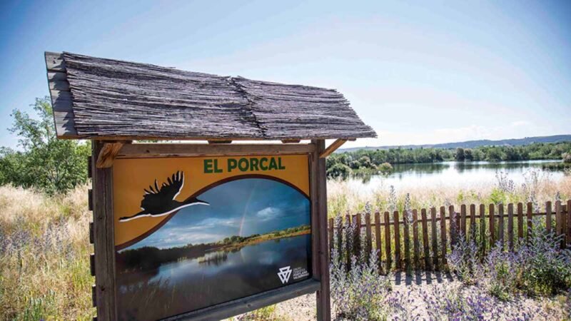 Mayo natural en Rivas: excursión a El Porcal y jornada familiar en el huerto del Chico Mendes