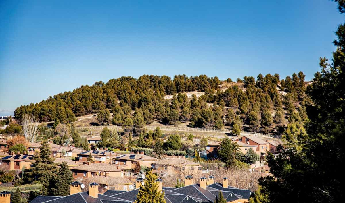 ‘Problemas de la ciudadanía’, ripenses preocupados por el mantenimiento de algunas parcelas del municipio