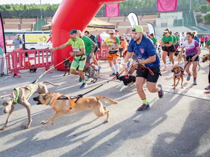 Rivas calienta motores para la IV Carrera por la Biodiversidad: deporte, solidaridad y conciencia ambiental