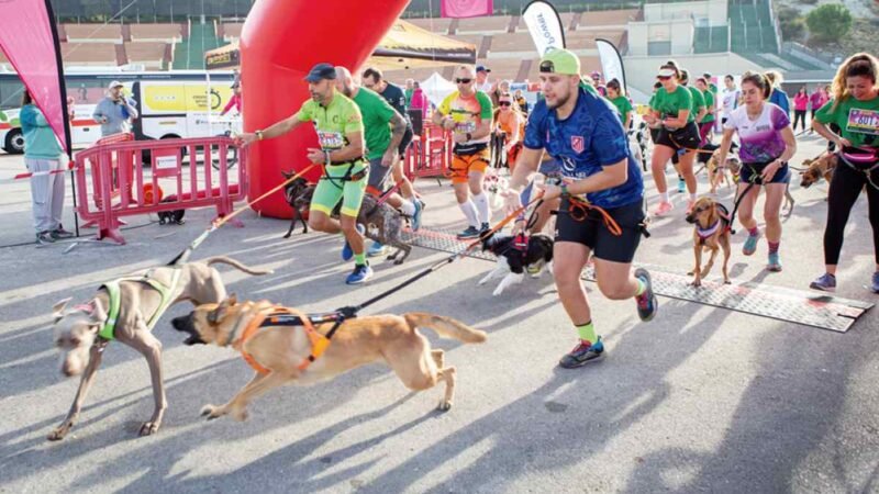 Rivas calienta motores para la IV Carrera por la Biodiversidad: deporte, solidaridad y conciencia ambiental