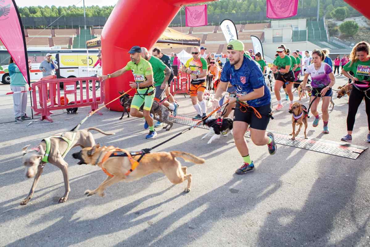 Rivas calienta motores para la IV Carrera por la Biodiversidad: deporte, solidaridad y conciencia ambiental