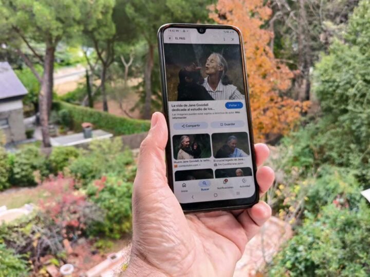 Rivas impulsa una campaña solidaria de reciclaje de móviles para proteger a los chimpancés africanos