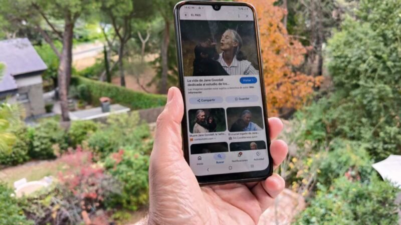 Rivas impulsa una campaña solidaria de reciclaje de móviles para proteger a los chimpancés africanos