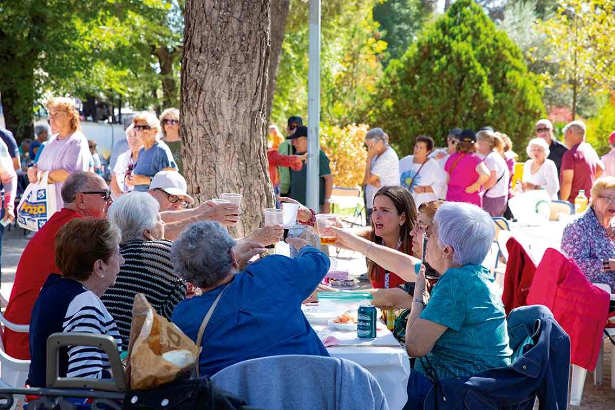 Que hacer en Rivas Vaciamadrid el segundo fin de semana de noviembre de 2025