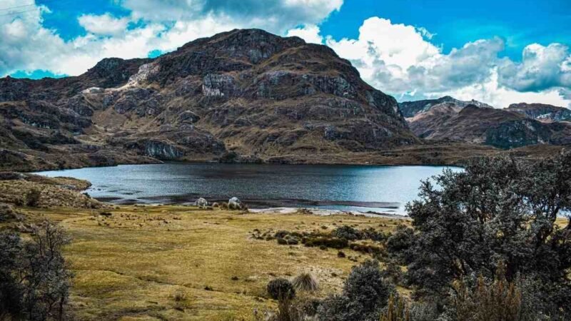 El auge del turismo rural en la Sierra Norte de Madrid: naturaleza, descanso y autenticidad