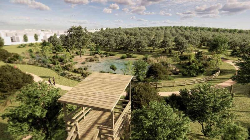 El olivar de La Partija se renueva con más arbolado y una charca ampliada