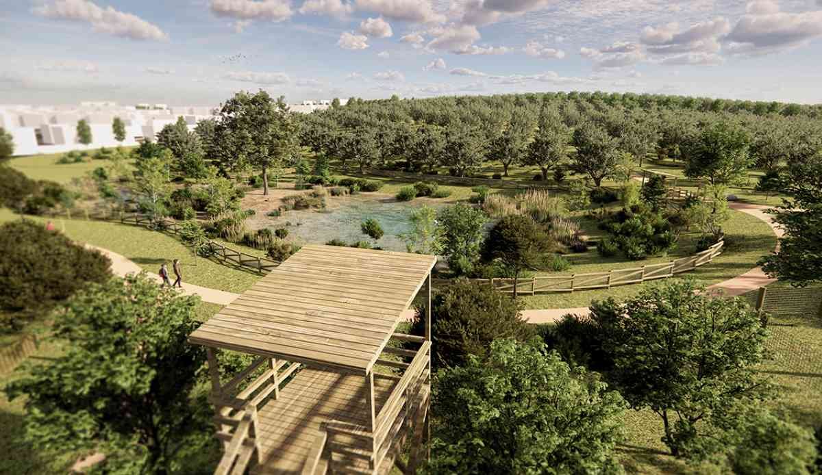 El olivar de La Partija se renueva con más arbolado y una charca ampliada