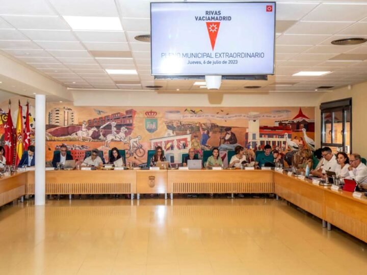 El Pleno exige a la Comunidad de Madrid garantizar la atención temprana a menores con discapacidad más allá de los 6 años