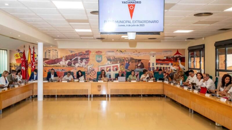 El Pleno exige a la Comunidad de Madrid garantizar la atención temprana a menores con discapacidad más allá de los 6 años