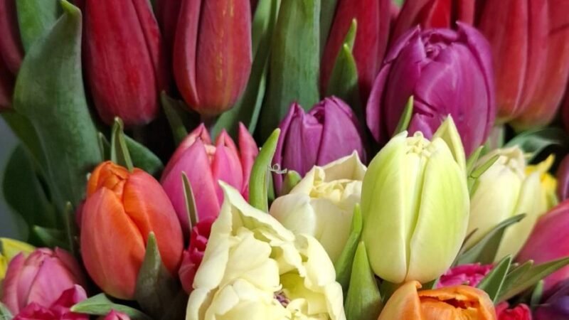 Floristería Flor del Día, el lugar imprescindible en Rivas Vaciamadrid para sorprender este San Valentín