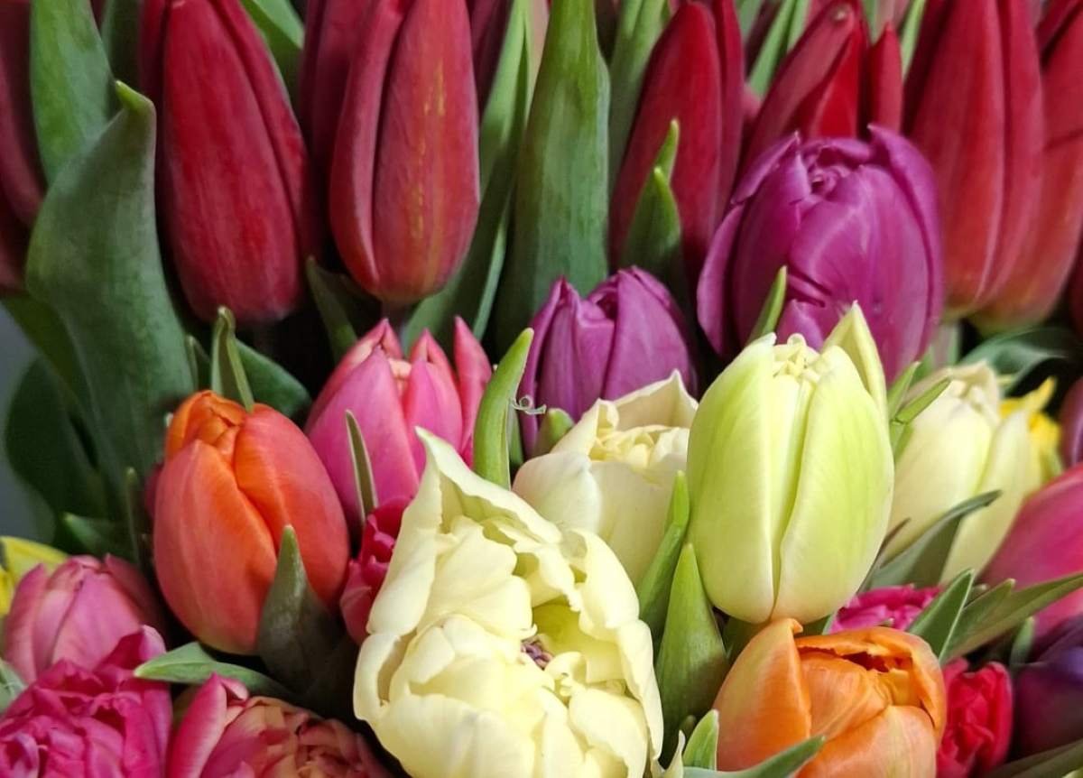 Floristería Flor del Día, el lugar imprescindible en Rivas Vaciamadrid para sorprender este San Valentín