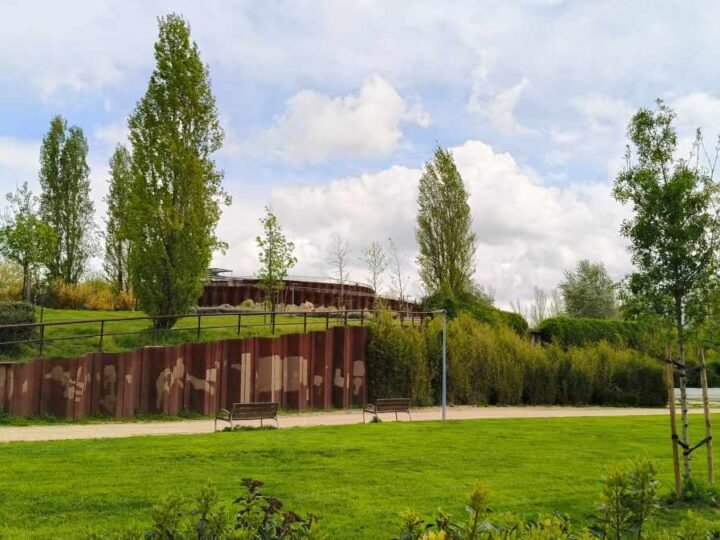 Rivas renueva el reconocimiento internacional por su gestión del arbolado urbano