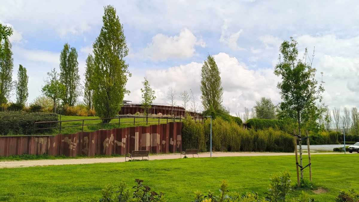 Rivas renueva el reconocimiento internacional por su gestión del arbolado urbano