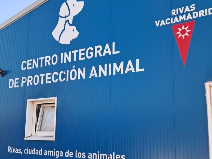 El Ayuntamiento de Rivas busca familias de acogida temporal para animales afectados por los incendios