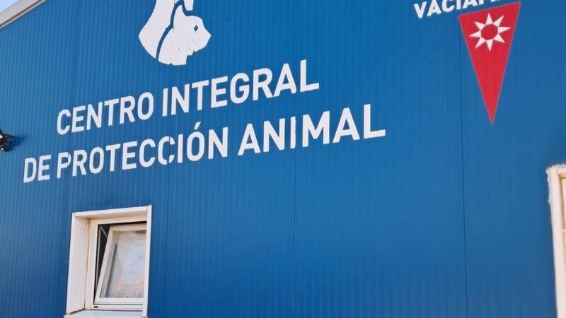 El Ayuntamiento de Rivas busca familias de acogida temporal para animales afectados por los incendios