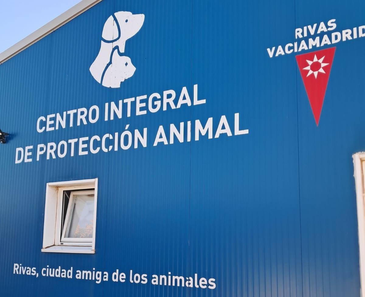 El Ayuntamiento de Rivas busca familias de acogida temporal para animales afectados por los incendios