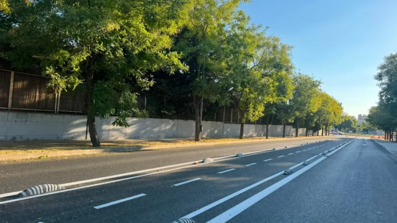 El PP de Rivas denuncia la retirada de árboles en el Paseo de las Provincias por las obras de un nuevo carril bici