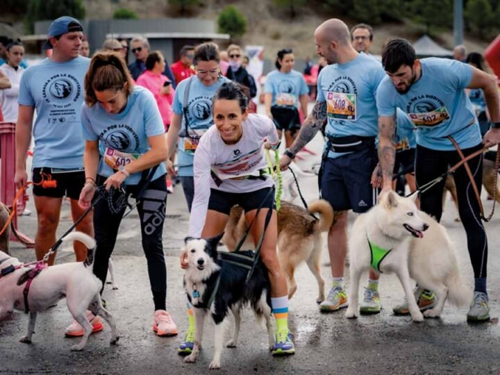 Carrera por la Biodiversidad 2026 en Rivas: 10 km, 5 km, carrera canina y pruebas infantiles